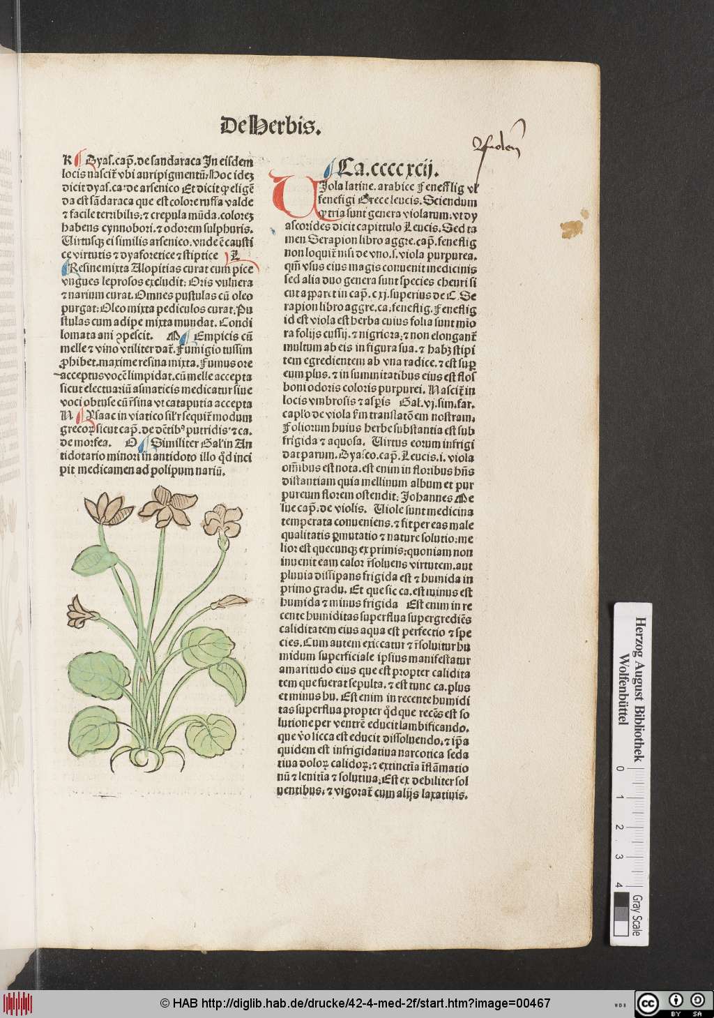 http://diglib.hab.de/drucke/42-4-med-2f/00467.jpg