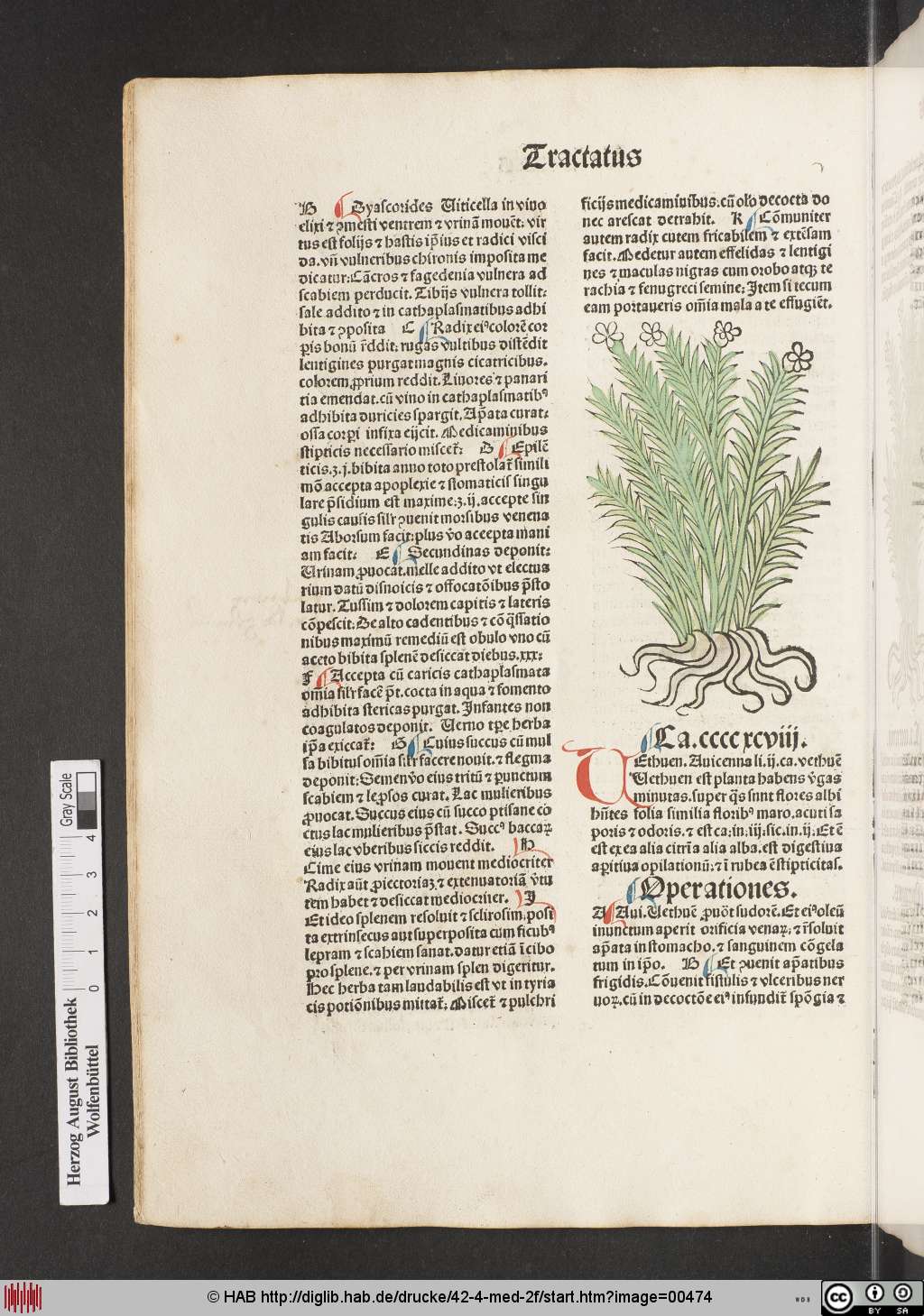 http://diglib.hab.de/drucke/42-4-med-2f/00474.jpg