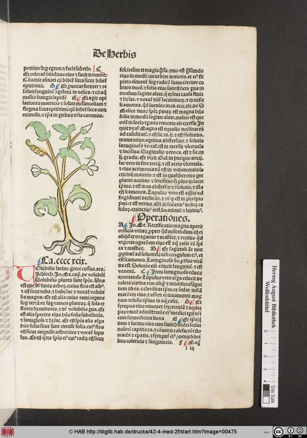 http://diglib.hab.de/drucke/42-4-med-2f/00475.jpg