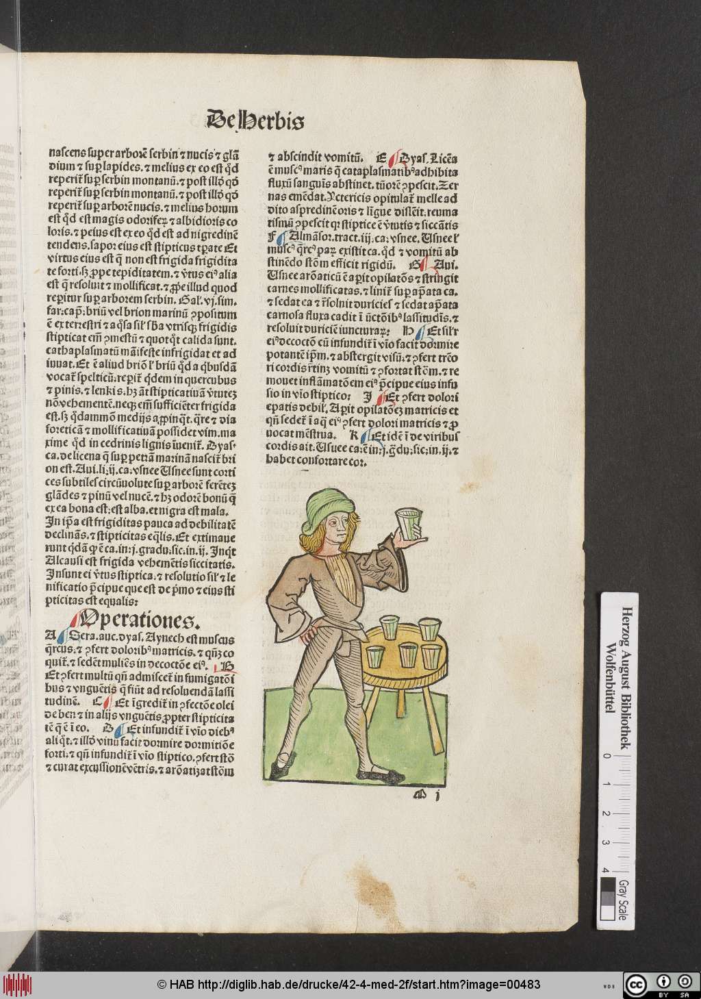 http://diglib.hab.de/drucke/42-4-med-2f/00483.jpg