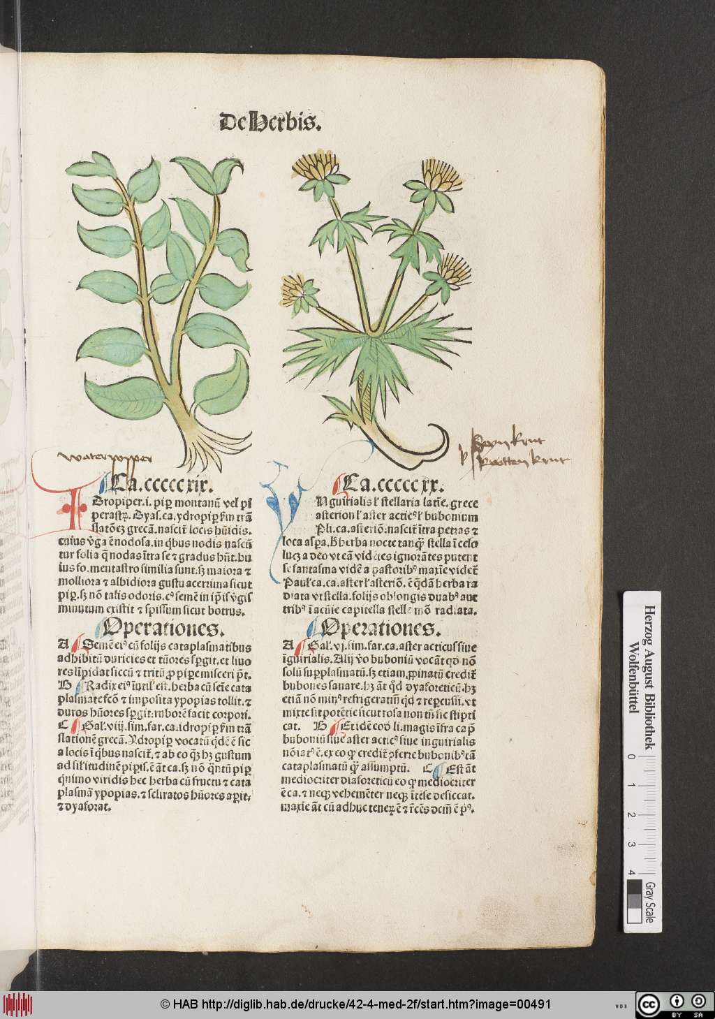 http://diglib.hab.de/drucke/42-4-med-2f/00491.jpg