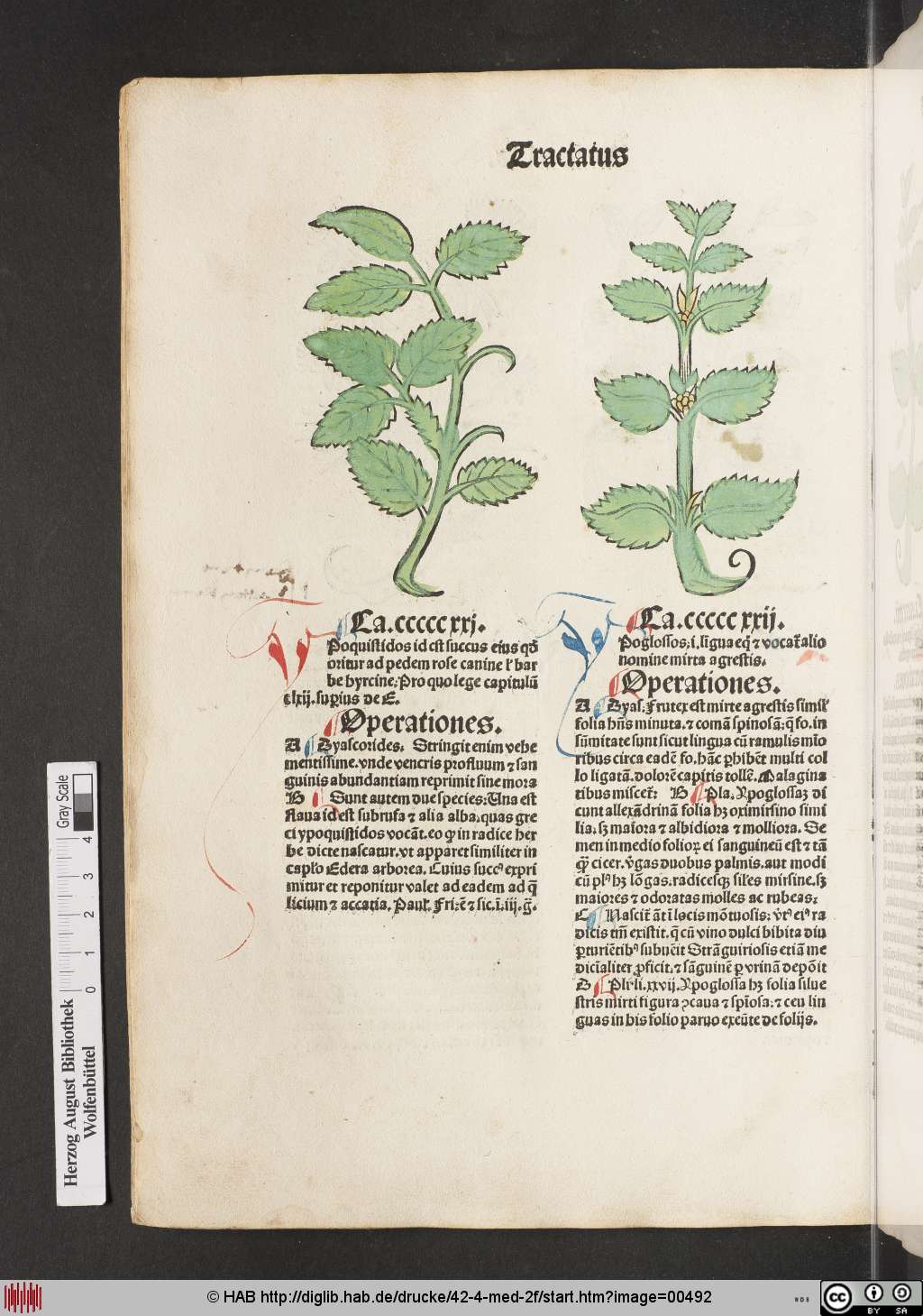 http://diglib.hab.de/drucke/42-4-med-2f/00492.jpg