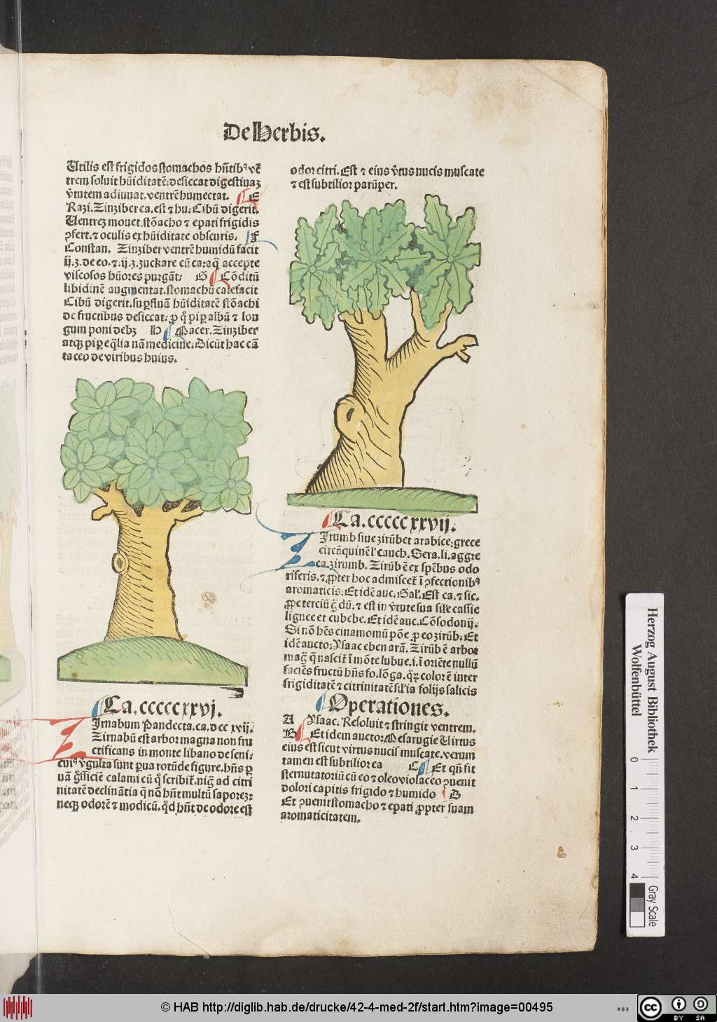 http://diglib.hab.de/drucke/42-4-med-2f/00495.jpg