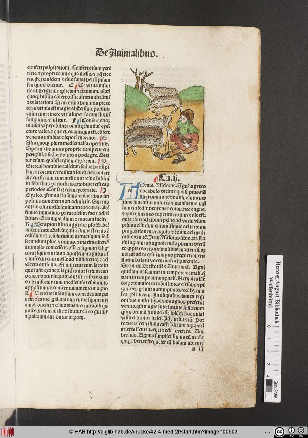 http://diglib.hab.de/drucke/42-4-med-2f/00503.jpg