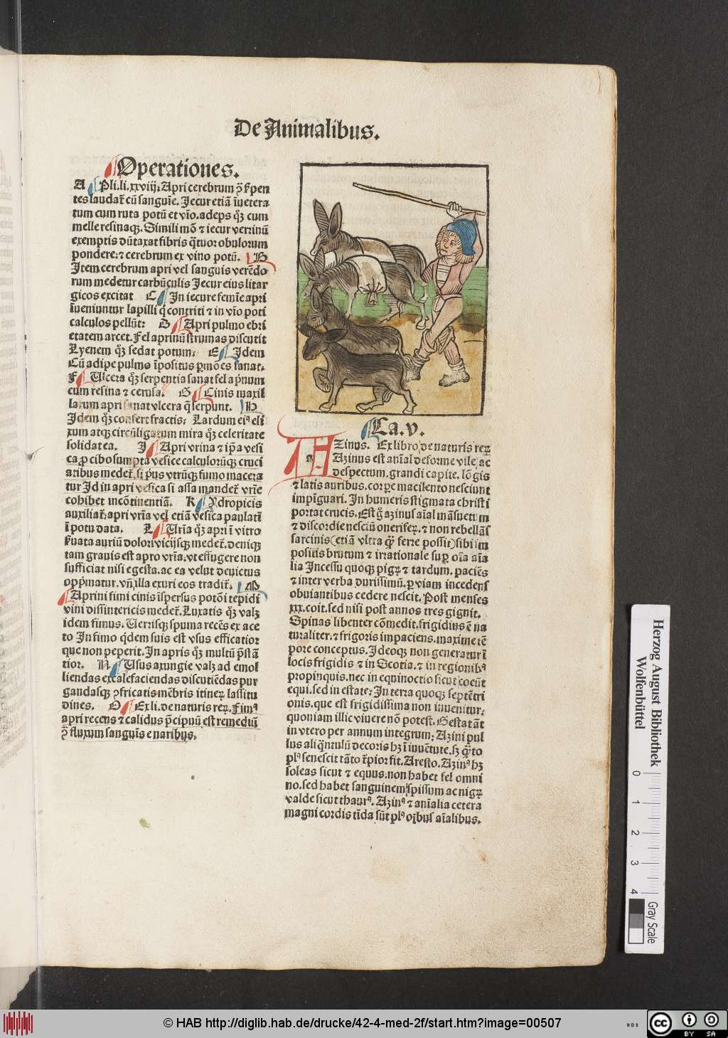 http://diglib.hab.de/drucke/42-4-med-2f/00507.jpg