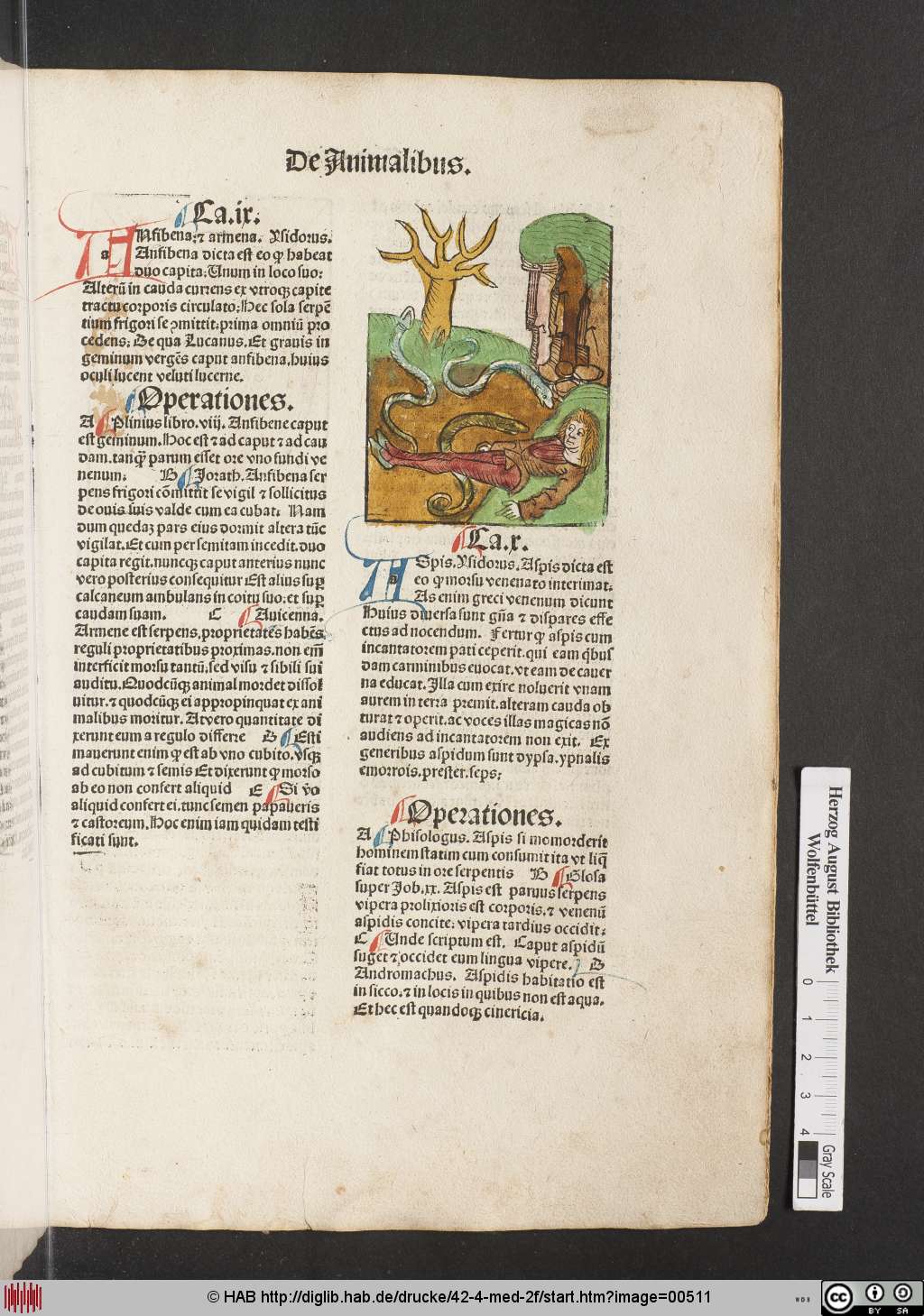 http://diglib.hab.de/drucke/42-4-med-2f/00511.jpg