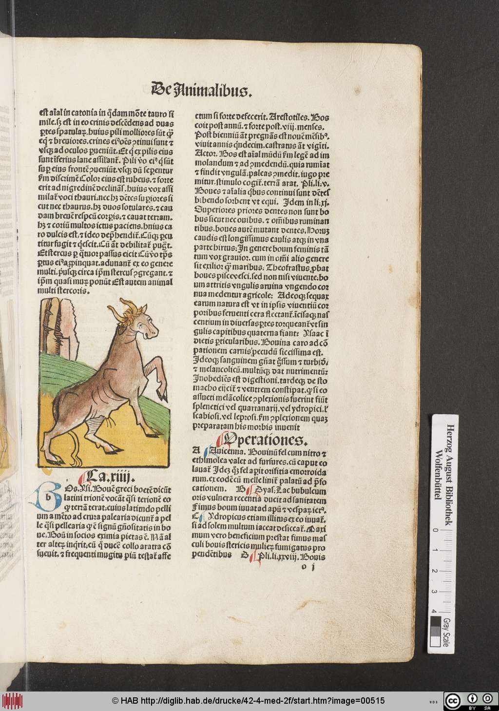 http://diglib.hab.de/drucke/42-4-med-2f/00515.jpg