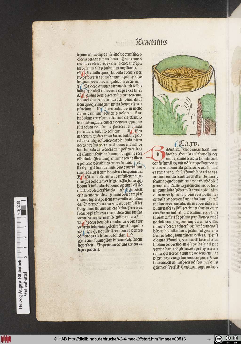 http://diglib.hab.de/drucke/42-4-med-2f/00516.jpg