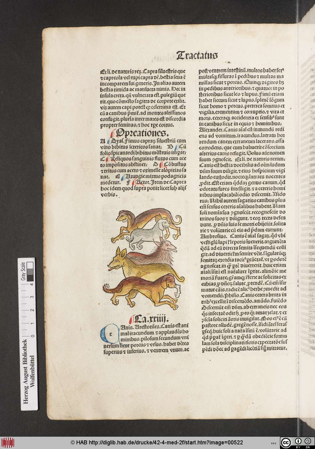 http://diglib.hab.de/drucke/42-4-med-2f/00522.jpg