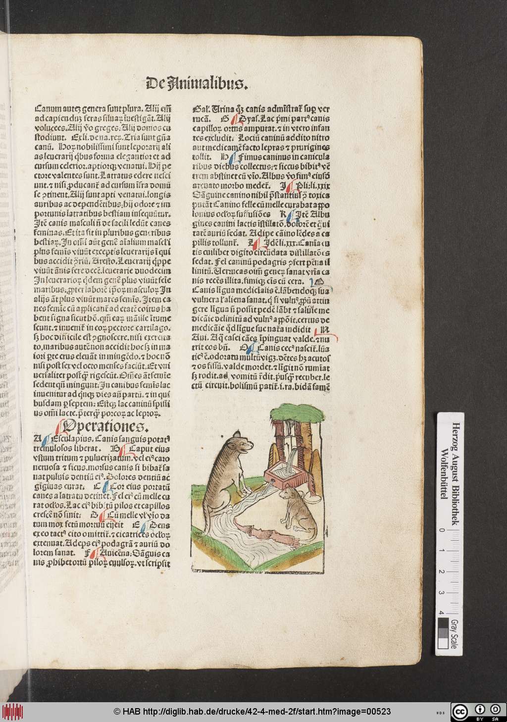 http://diglib.hab.de/drucke/42-4-med-2f/00523.jpg