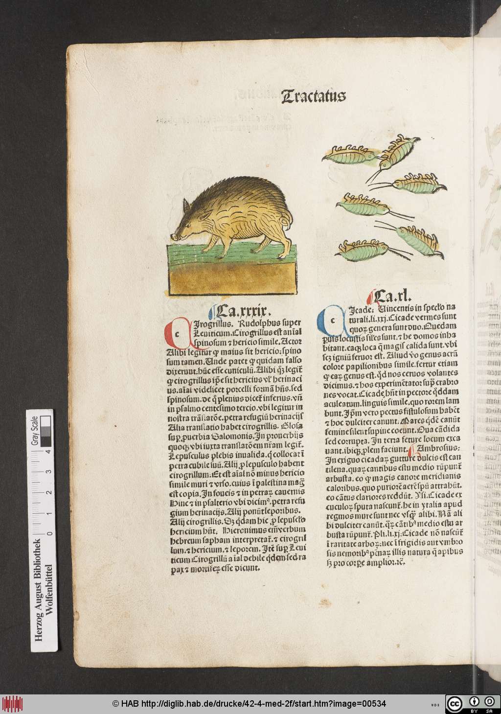 http://diglib.hab.de/drucke/42-4-med-2f/00534.jpg