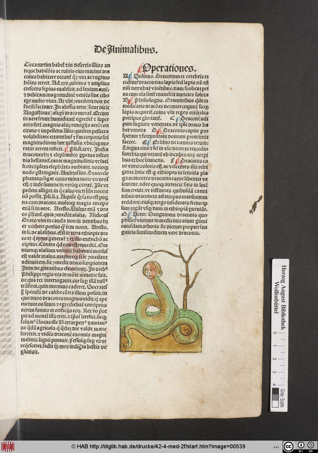 http://diglib.hab.de/drucke/42-4-med-2f/00539.jpg