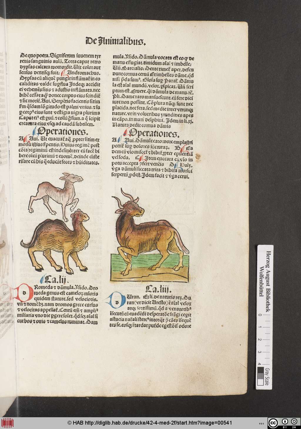 http://diglib.hab.de/drucke/42-4-med-2f/00541.jpg