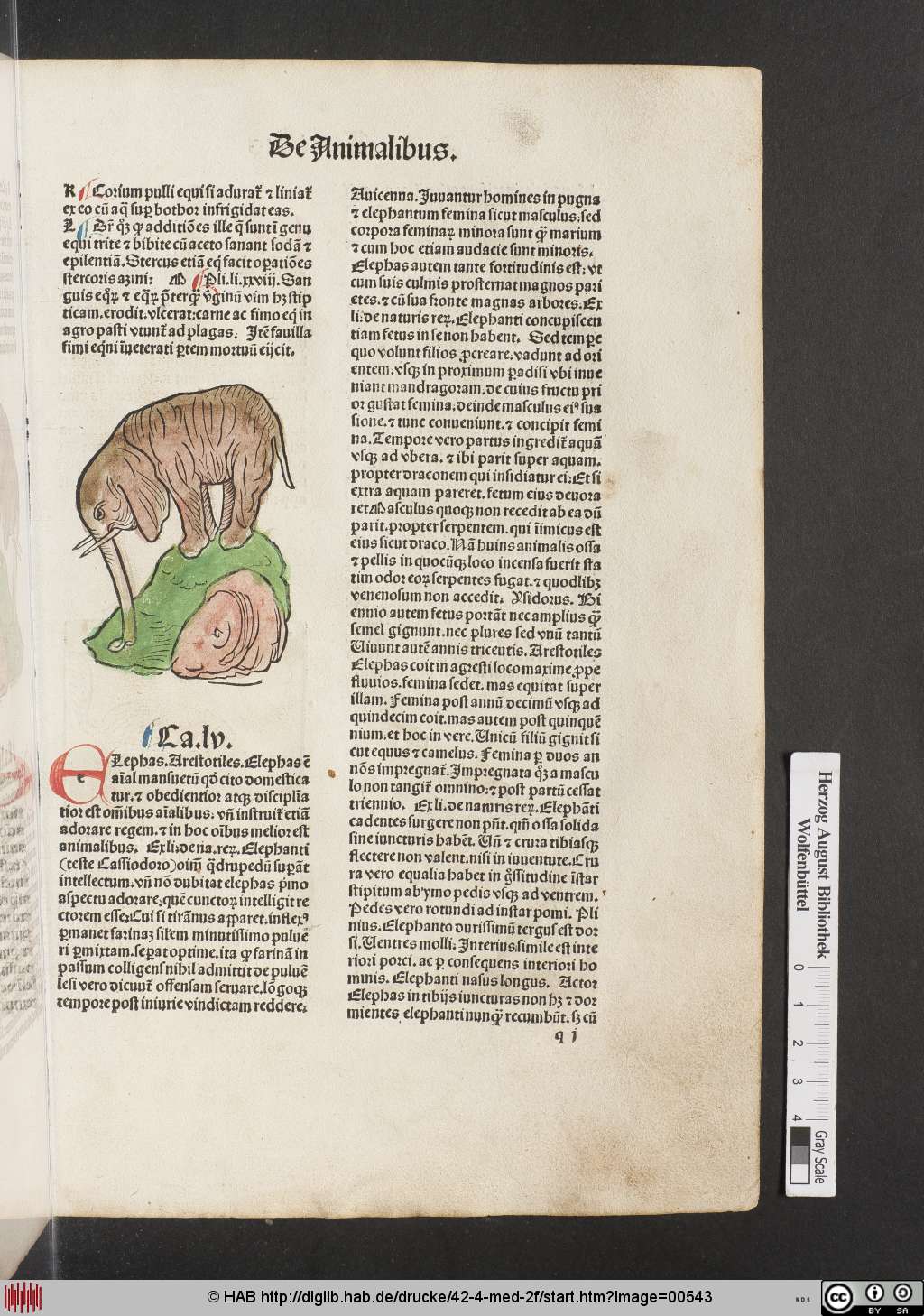 http://diglib.hab.de/drucke/42-4-med-2f/00543.jpg