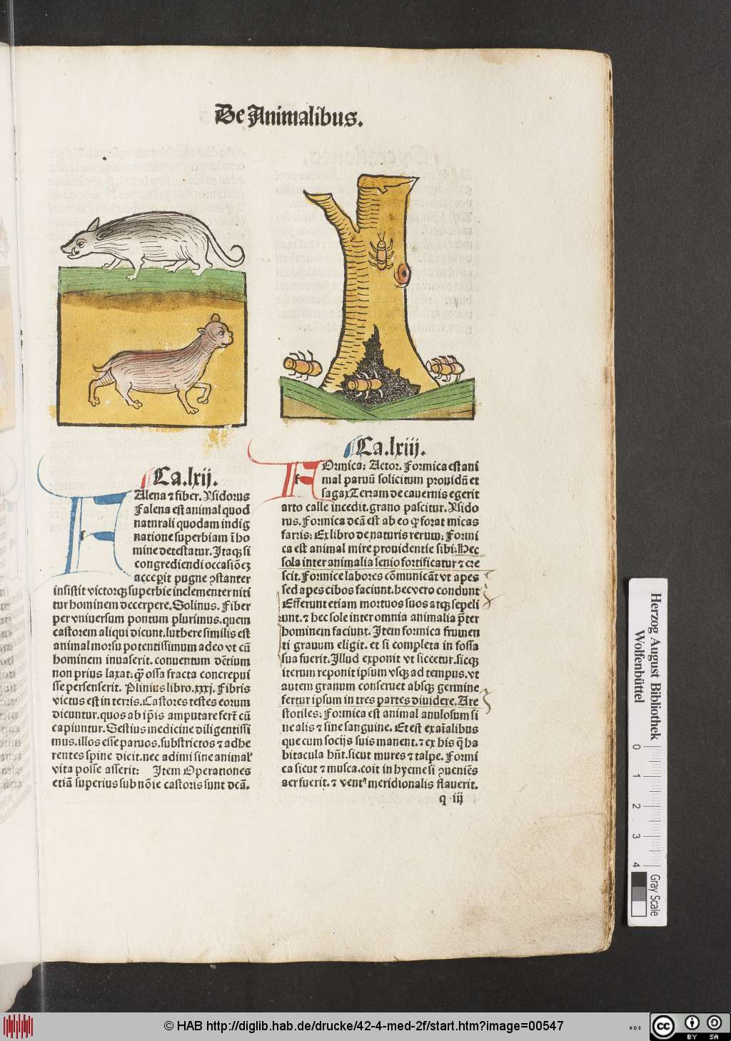 http://diglib.hab.de/drucke/42-4-med-2f/00547.jpg