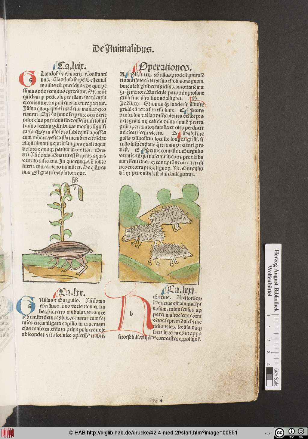 http://diglib.hab.de/drucke/42-4-med-2f/00551.jpg