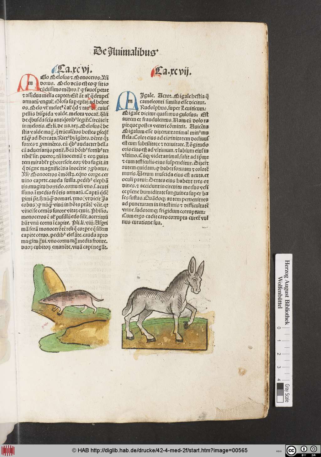 http://diglib.hab.de/drucke/42-4-med-2f/00565.jpg