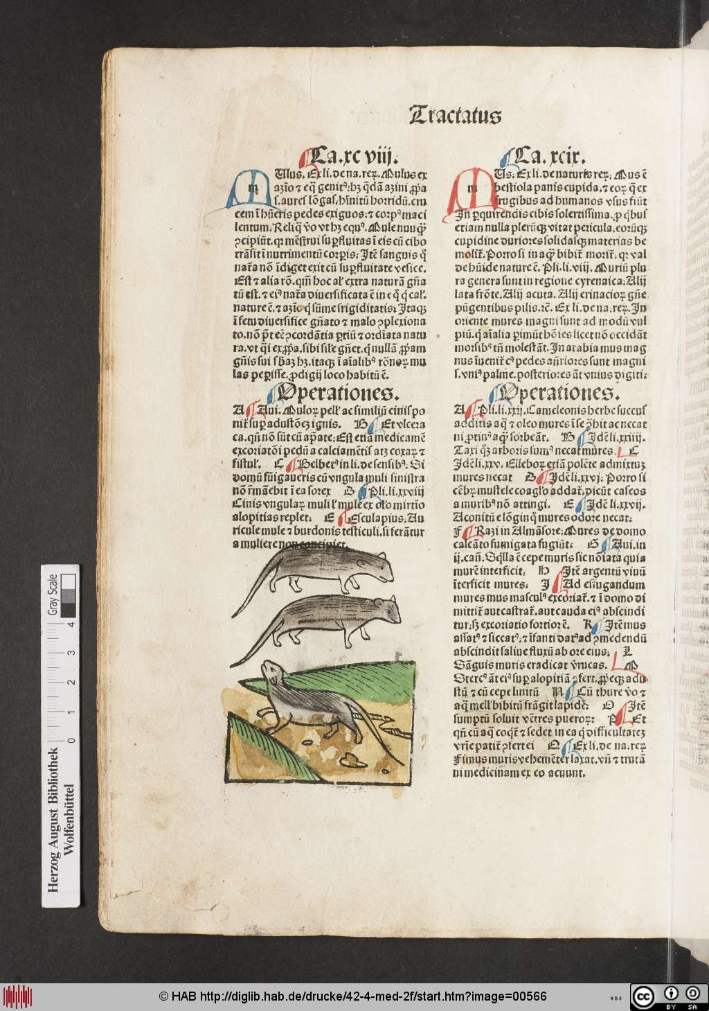 http://diglib.hab.de/drucke/42-4-med-2f/00566.jpg