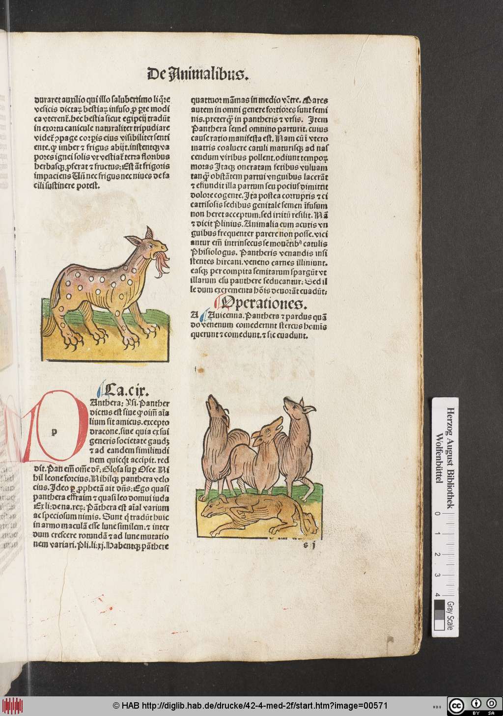 http://diglib.hab.de/drucke/42-4-med-2f/00571.jpg