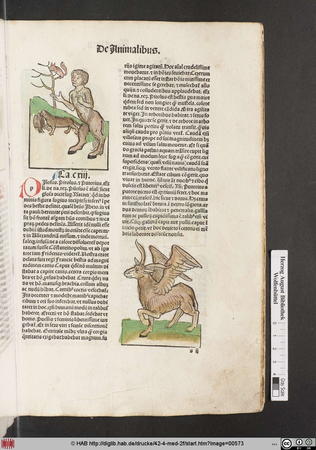 http://diglib.hab.de/drucke/42-4-med-2f/00573.jpg