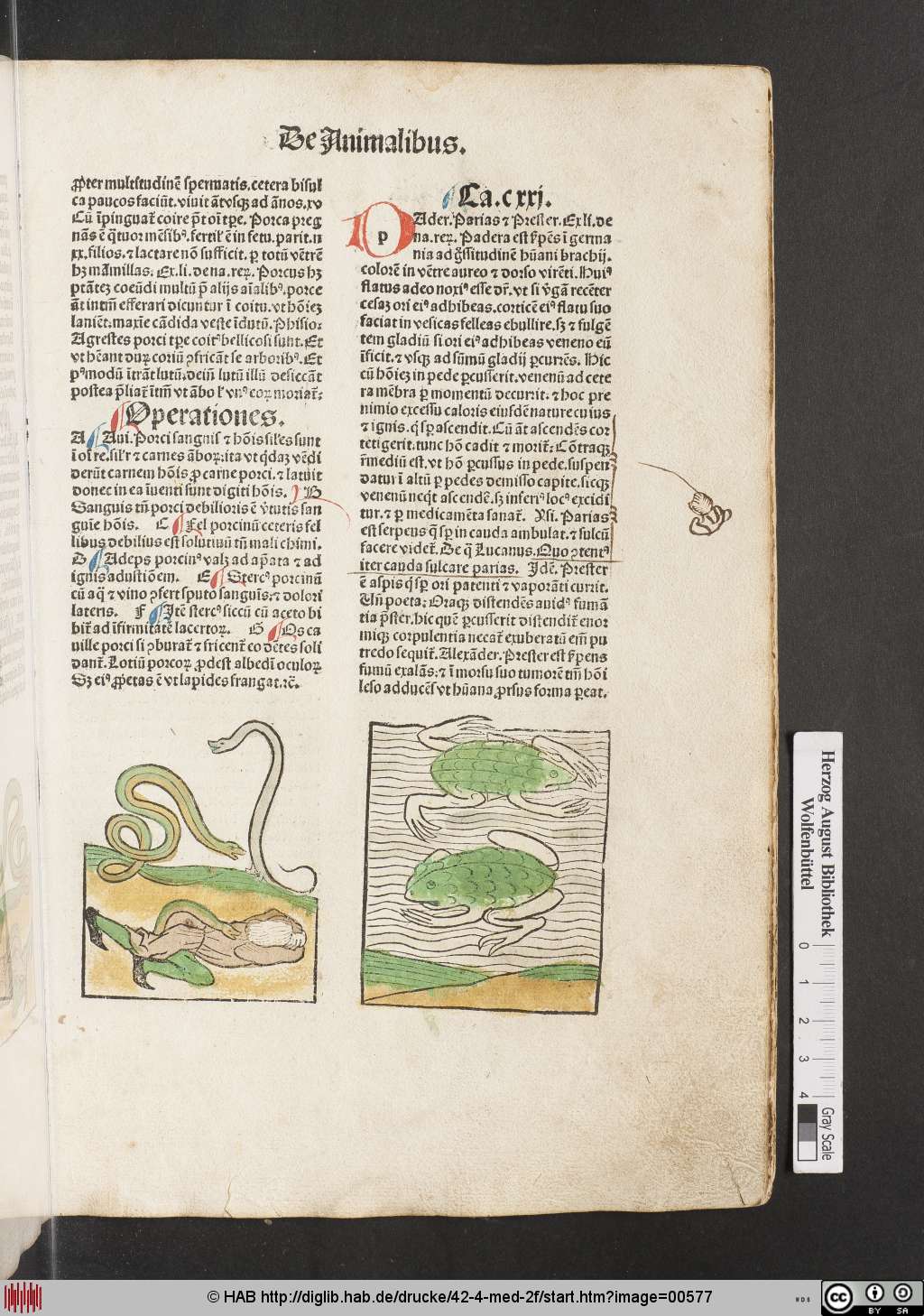 http://diglib.hab.de/drucke/42-4-med-2f/00577.jpg