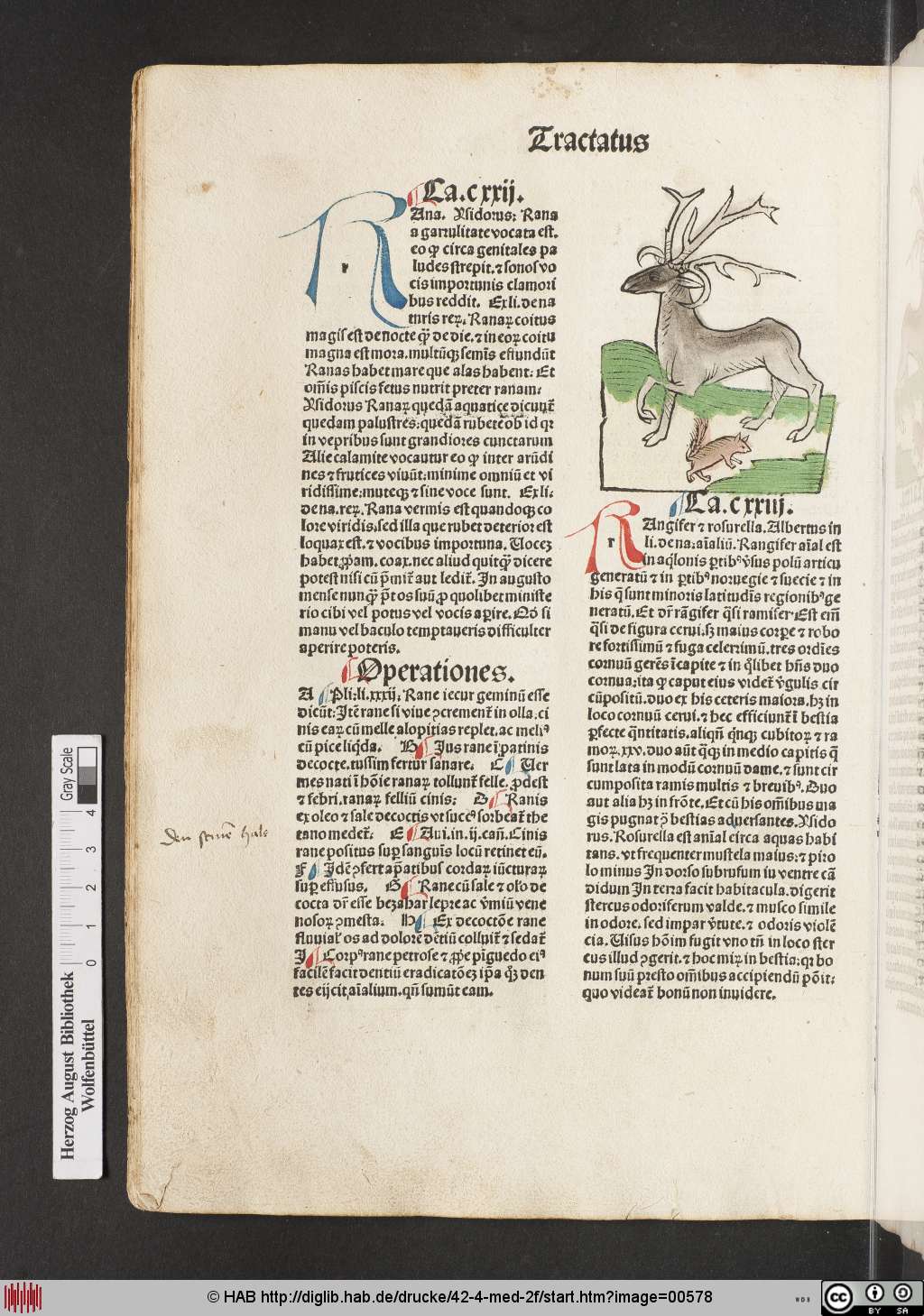 http://diglib.hab.de/drucke/42-4-med-2f/00578.jpg