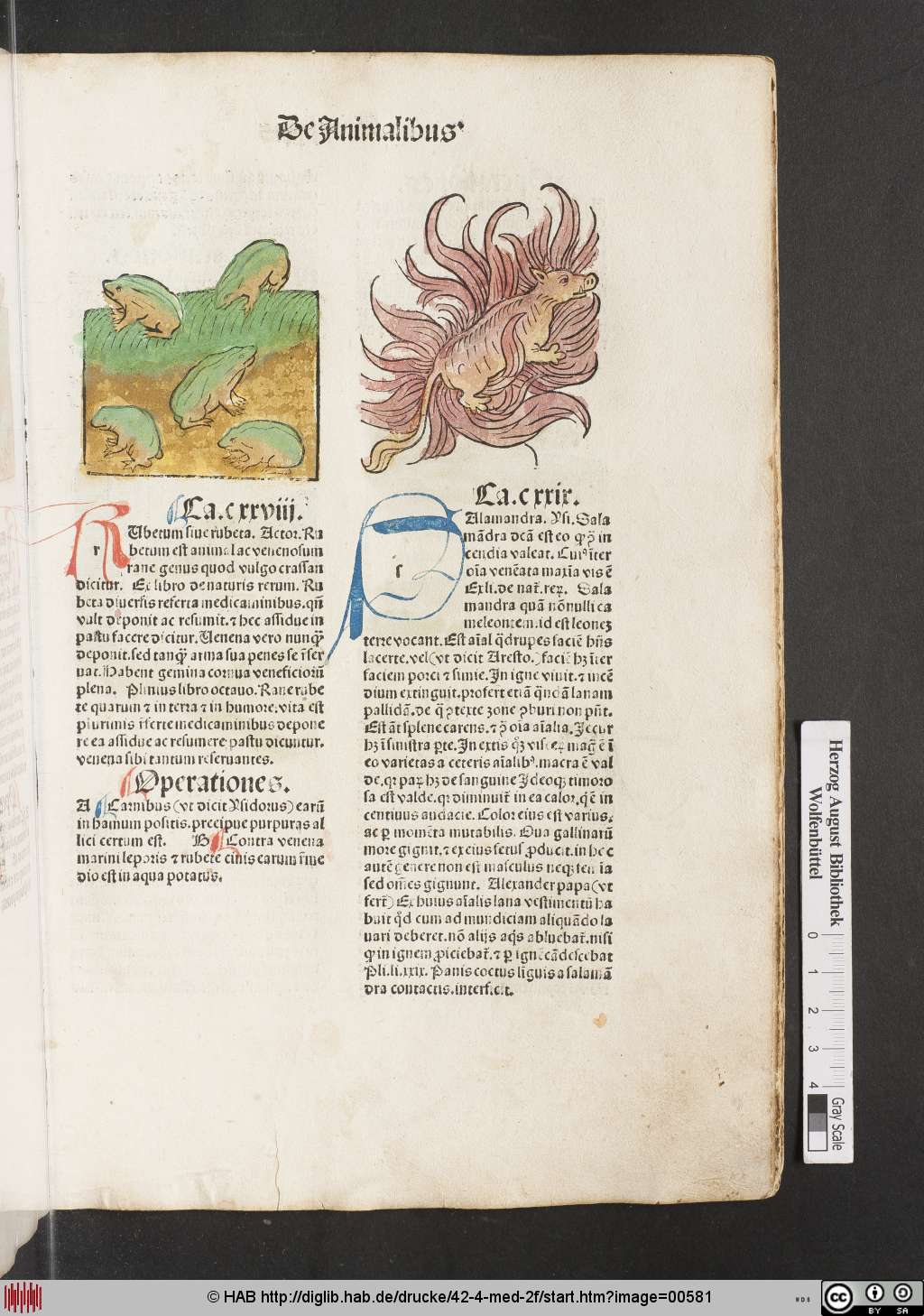 http://diglib.hab.de/drucke/42-4-med-2f/00581.jpg