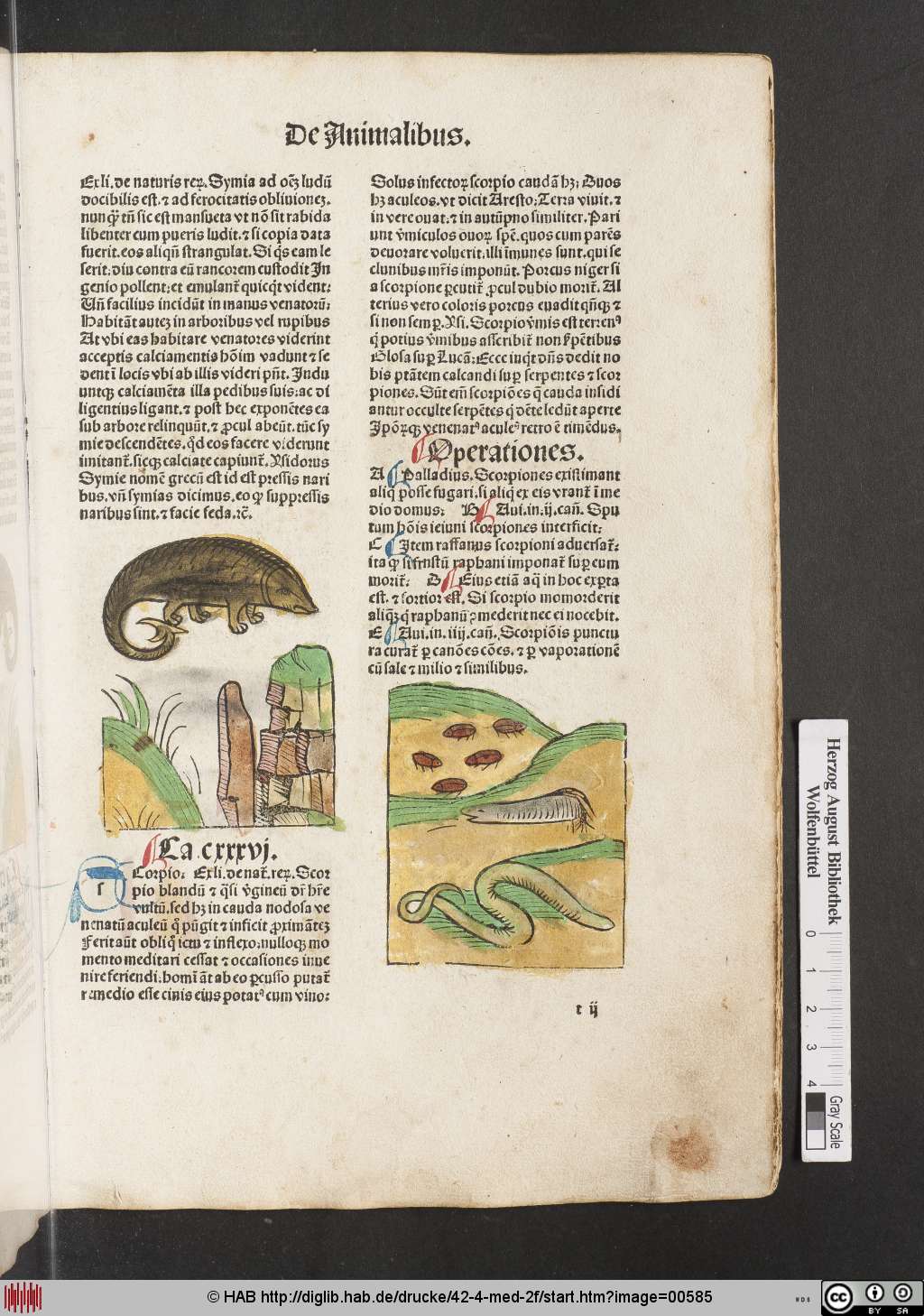 http://diglib.hab.de/drucke/42-4-med-2f/00585.jpg