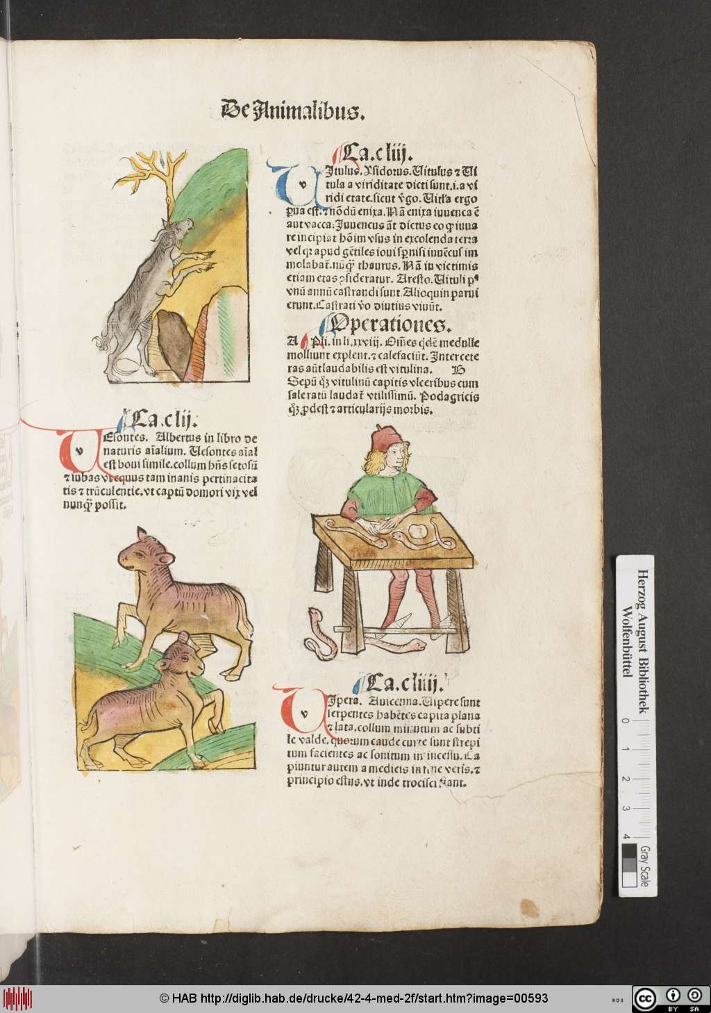 http://diglib.hab.de/drucke/42-4-med-2f/00593.jpg