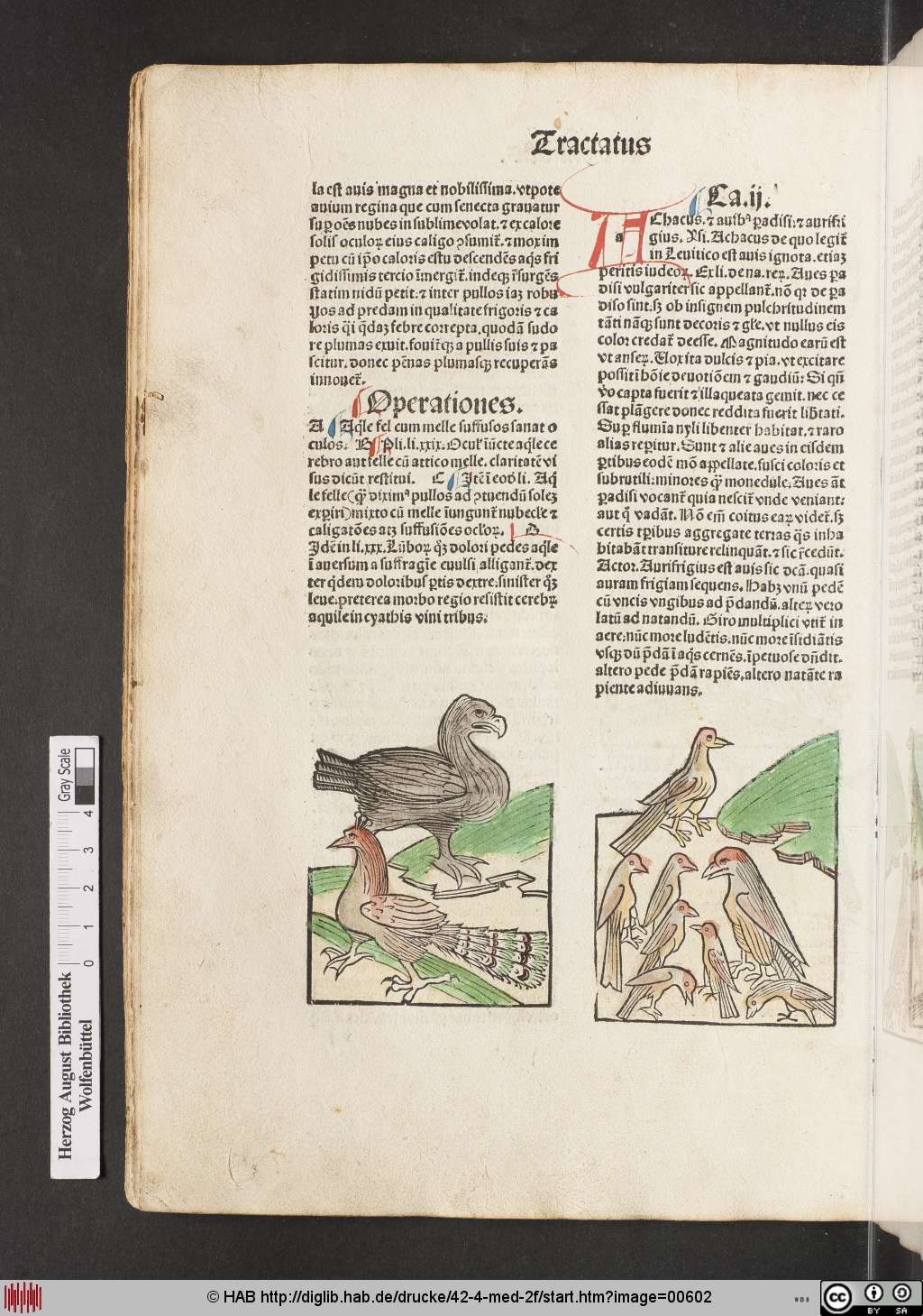 http://diglib.hab.de/drucke/42-4-med-2f/00602.jpg