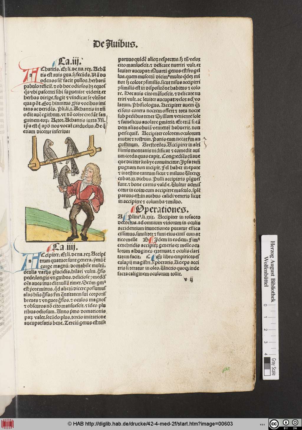 http://diglib.hab.de/drucke/42-4-med-2f/00603.jpg