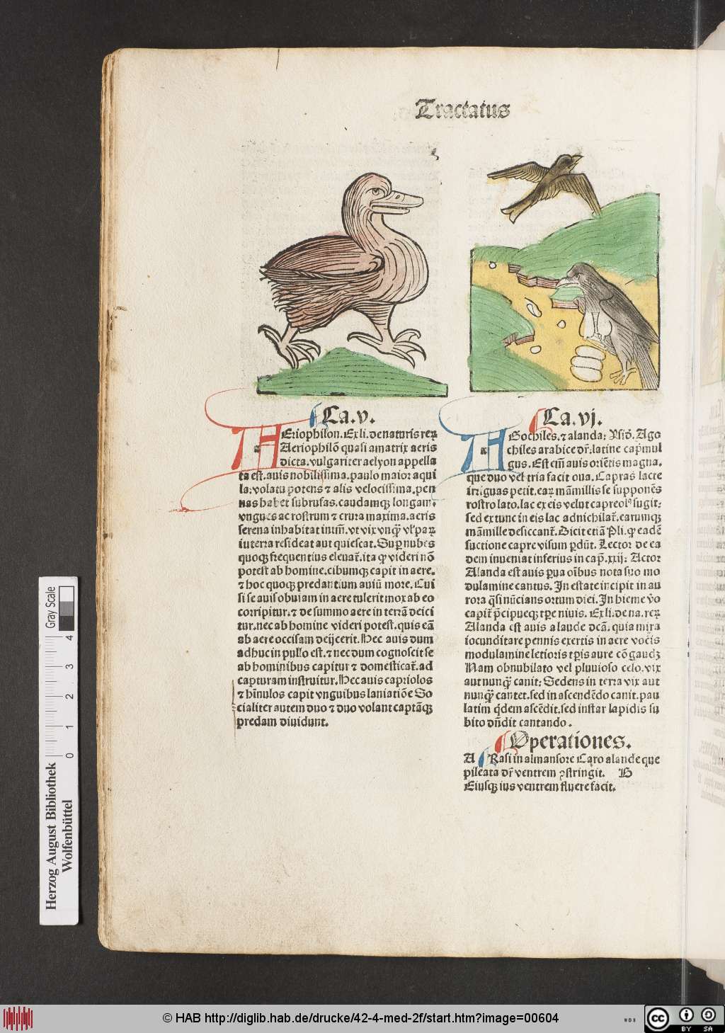 http://diglib.hab.de/drucke/42-4-med-2f/00604.jpg