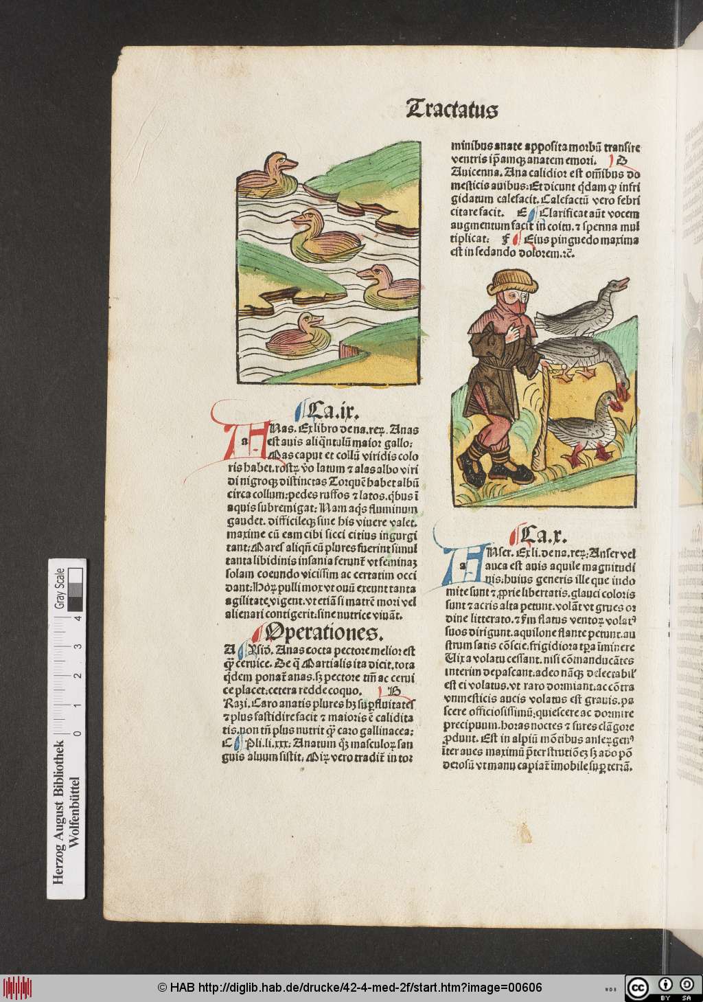 http://diglib.hab.de/drucke/42-4-med-2f/00606.jpg