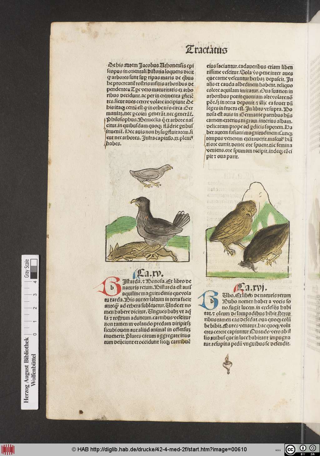 http://diglib.hab.de/drucke/42-4-med-2f/00610.jpg