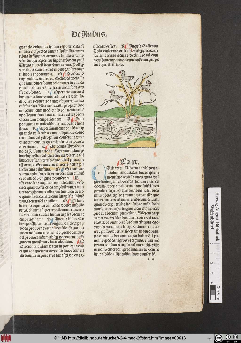 http://diglib.hab.de/drucke/42-4-med-2f/00613.jpg