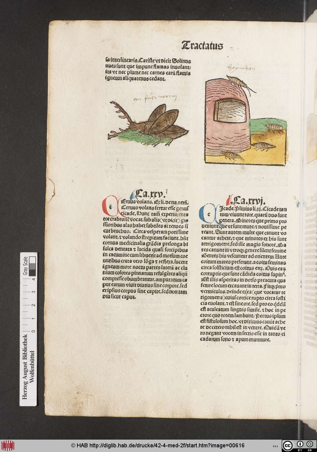 http://diglib.hab.de/drucke/42-4-med-2f/00616.jpg