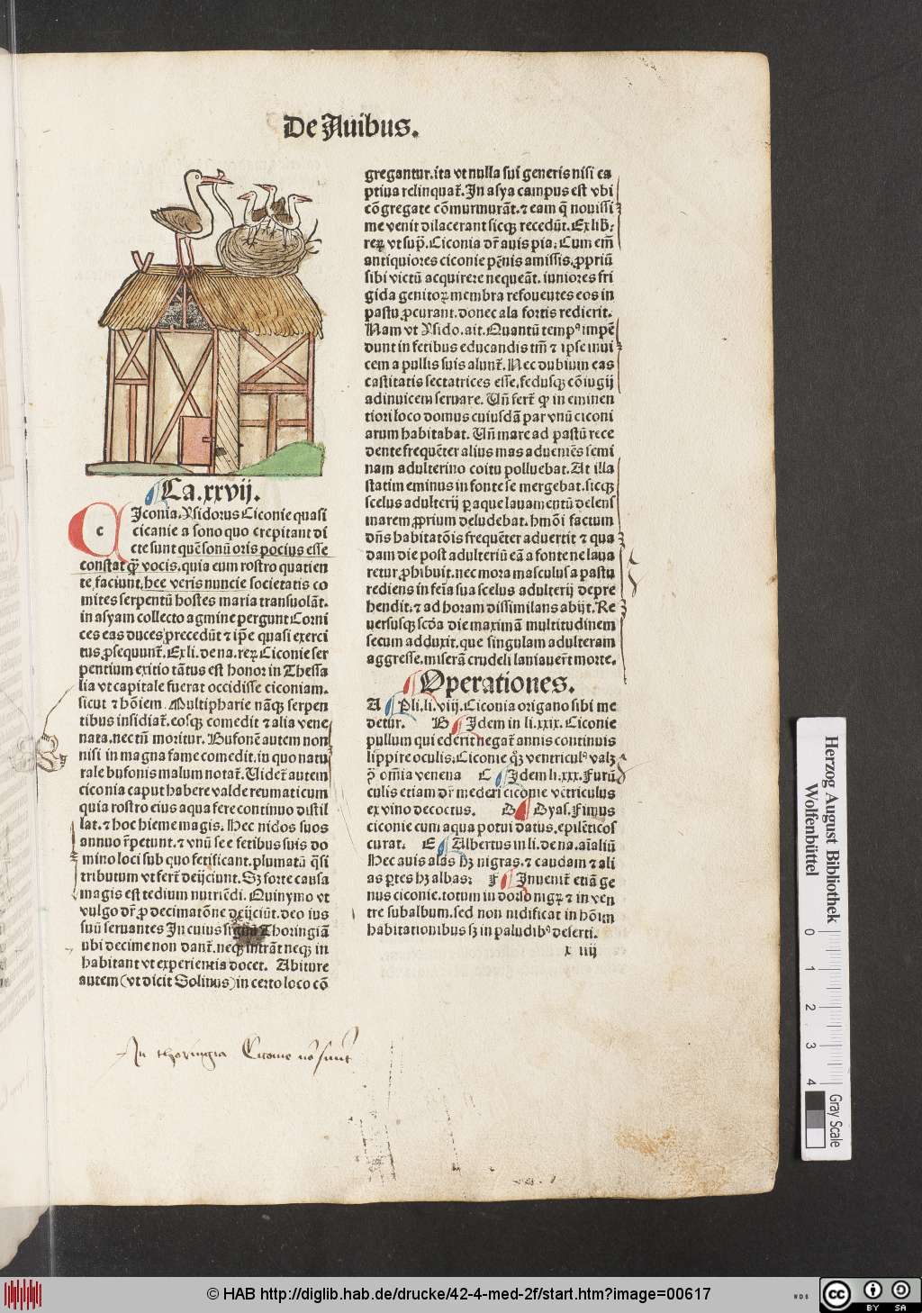 http://diglib.hab.de/drucke/42-4-med-2f/00617.jpg