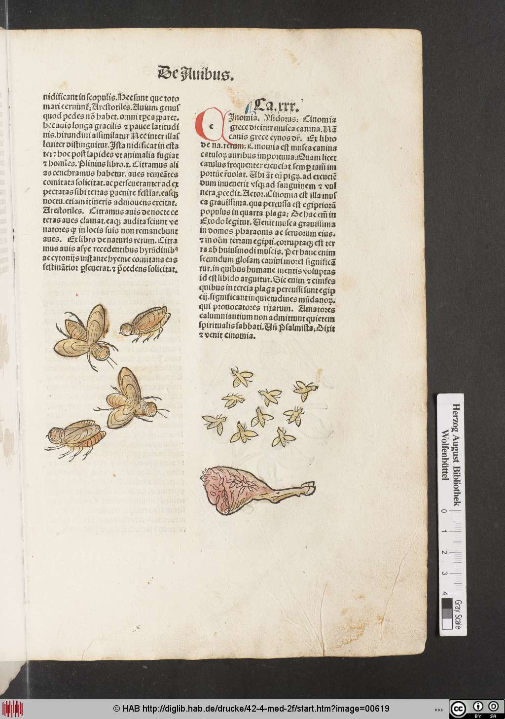 http://diglib.hab.de/drucke/42-4-med-2f/00619.jpg