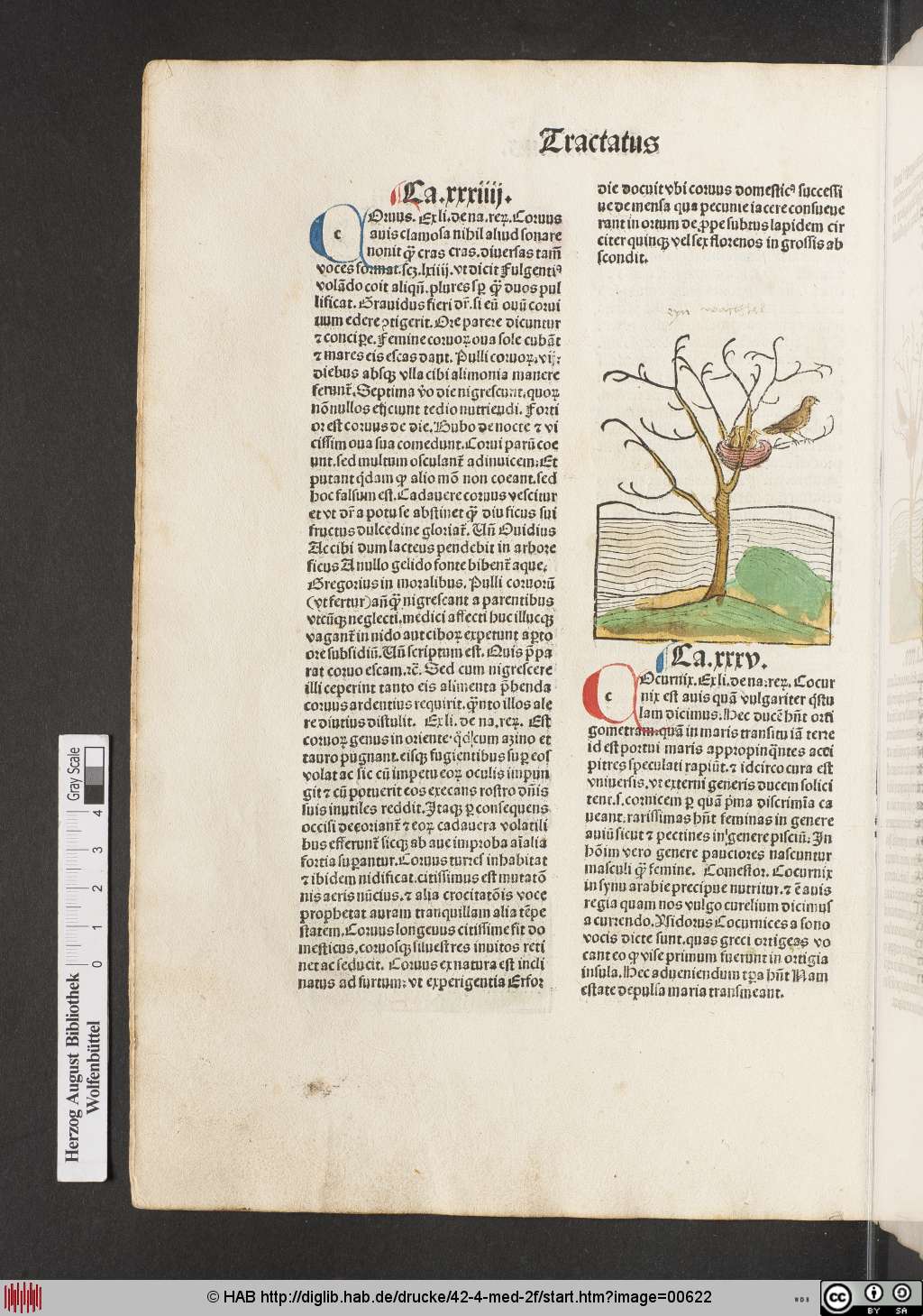 http://diglib.hab.de/drucke/42-4-med-2f/00622.jpg