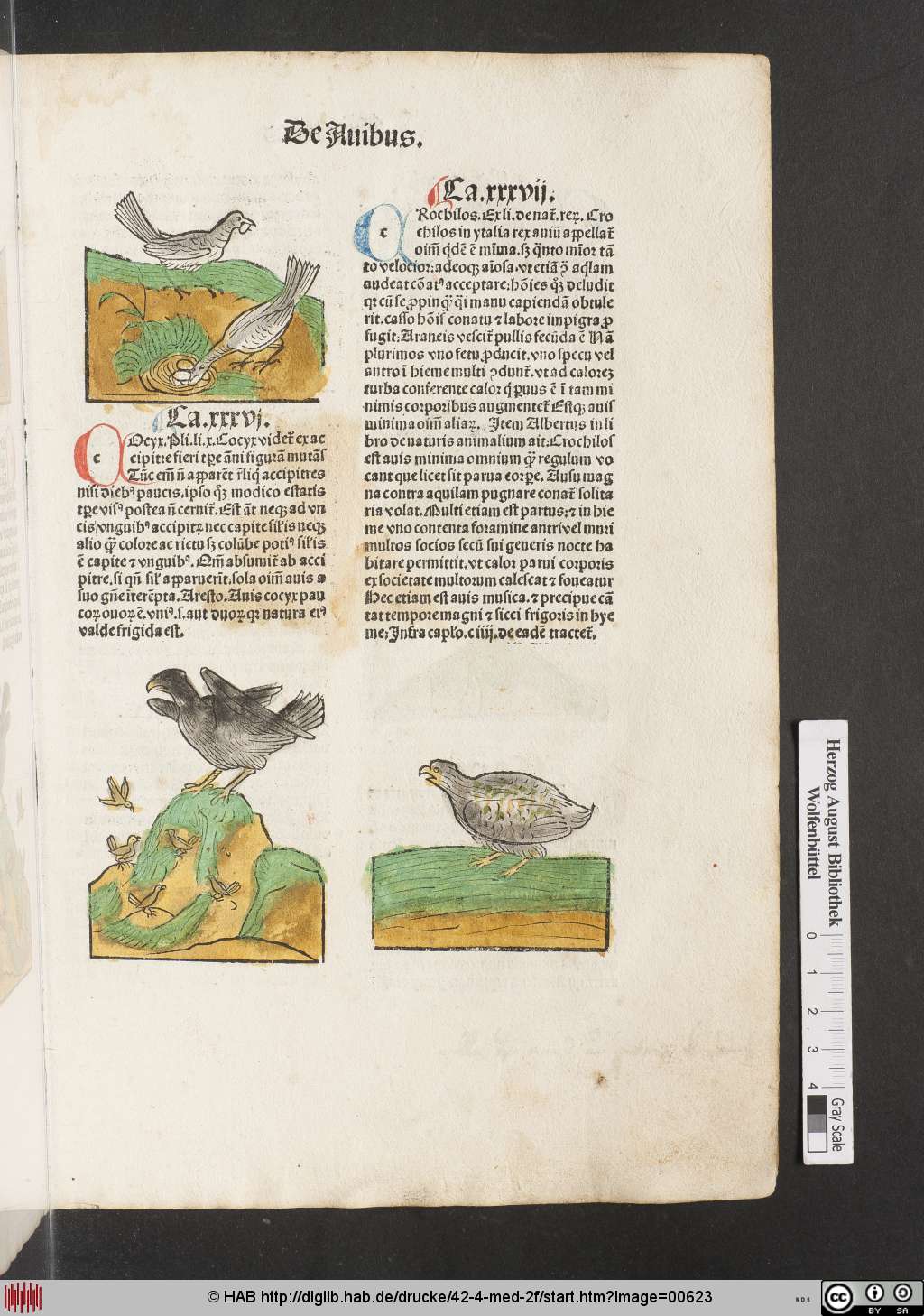 http://diglib.hab.de/drucke/42-4-med-2f/00623.jpg