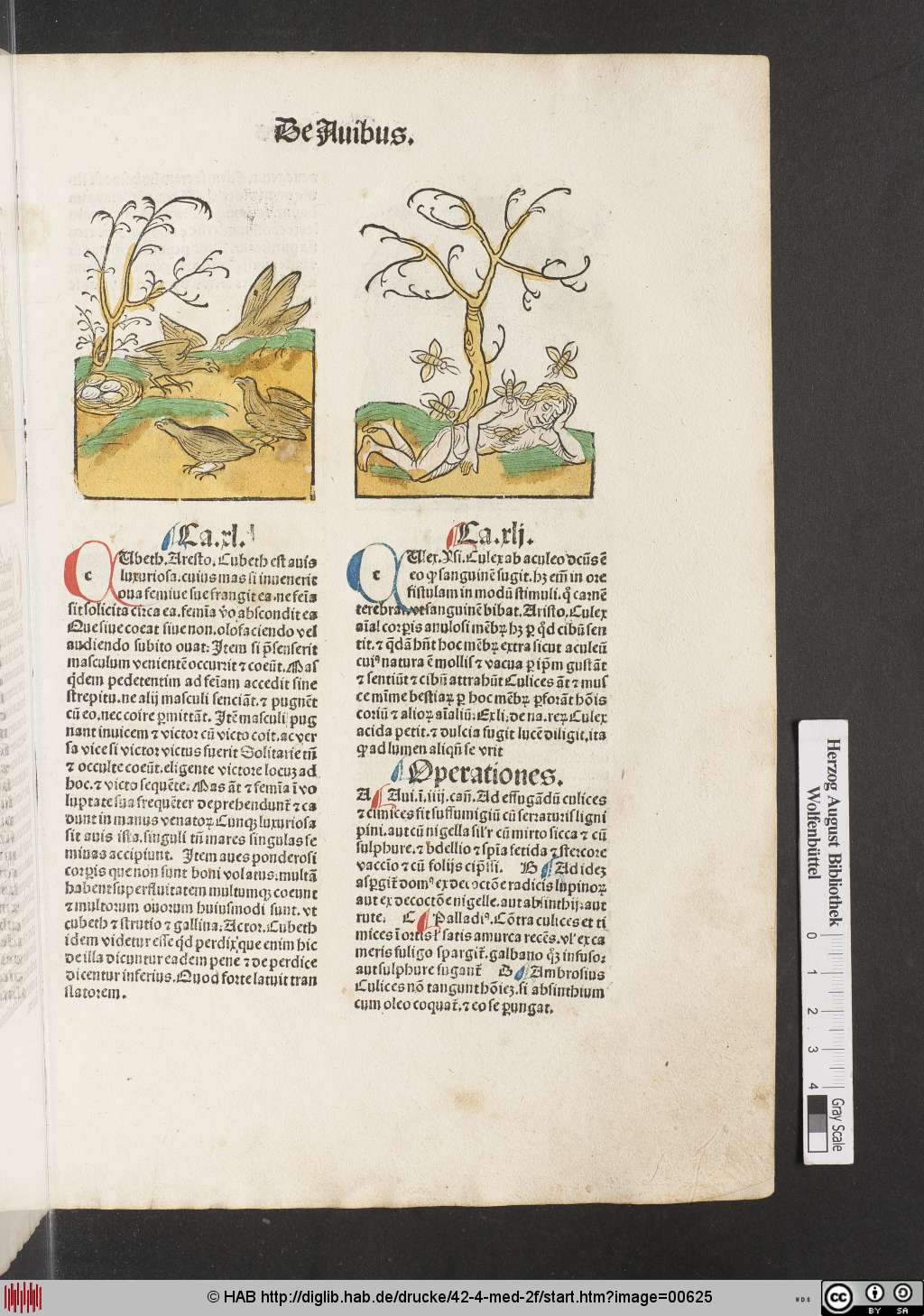 http://diglib.hab.de/drucke/42-4-med-2f/00625.jpg