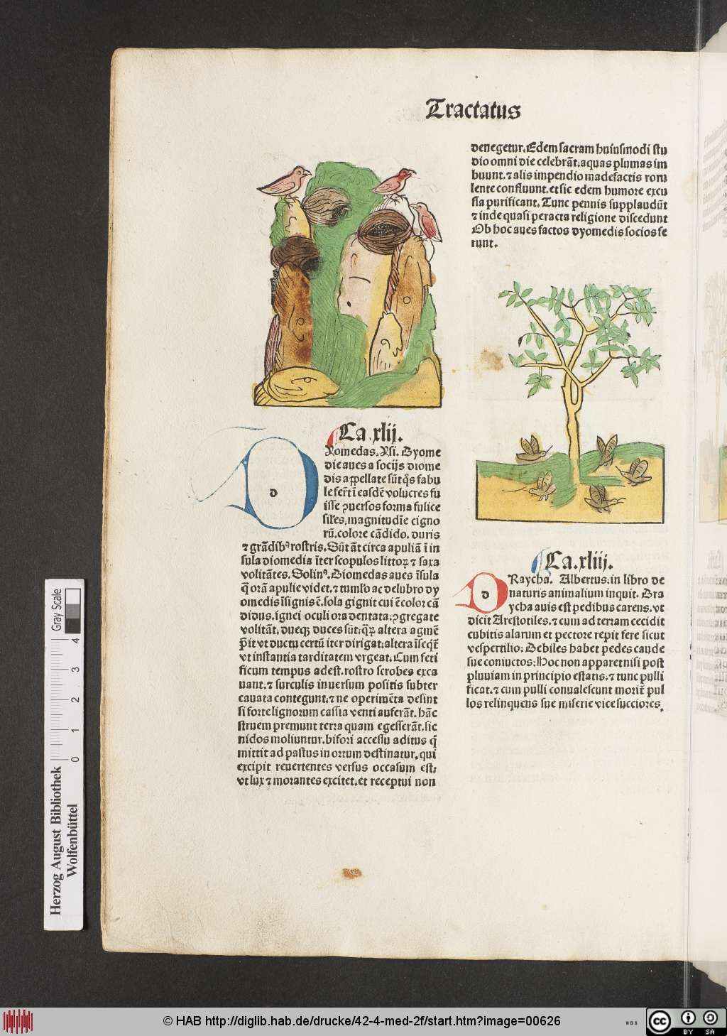 http://diglib.hab.de/drucke/42-4-med-2f/00626.jpg