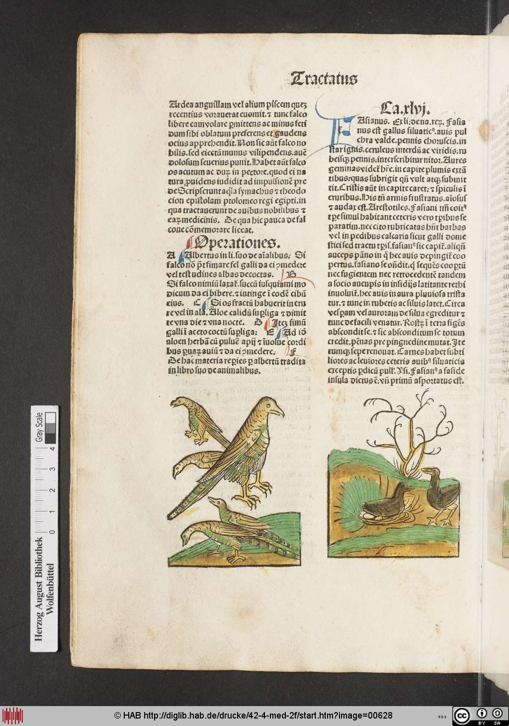 http://diglib.hab.de/drucke/42-4-med-2f/00628.jpg