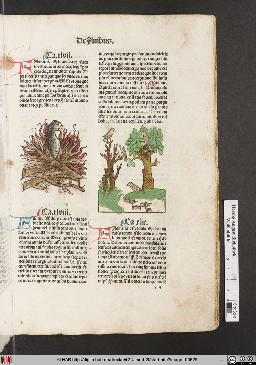 http://diglib.hab.de/drucke/42-4-med-2f/00629.jpg