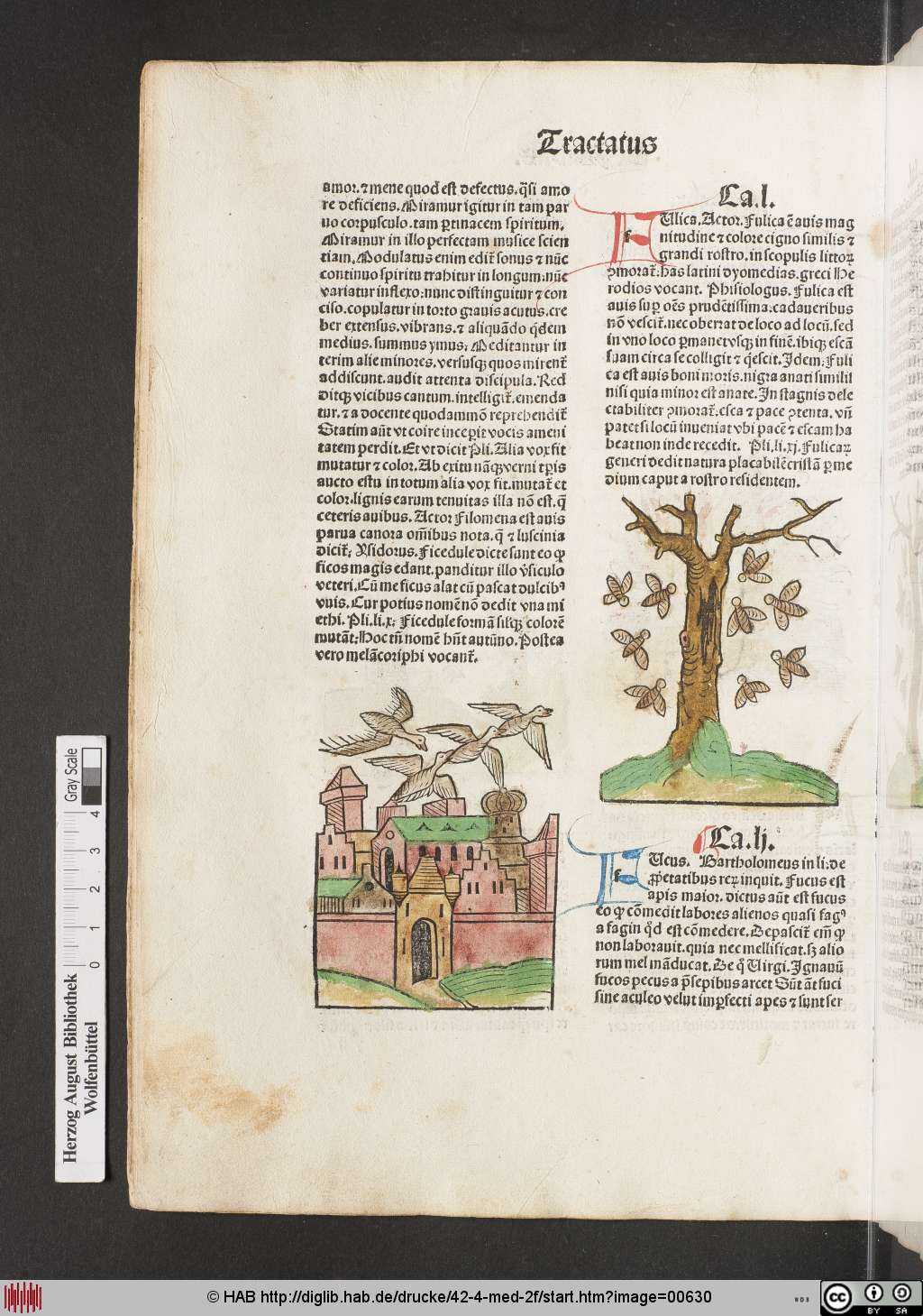 http://diglib.hab.de/drucke/42-4-med-2f/00630.jpg