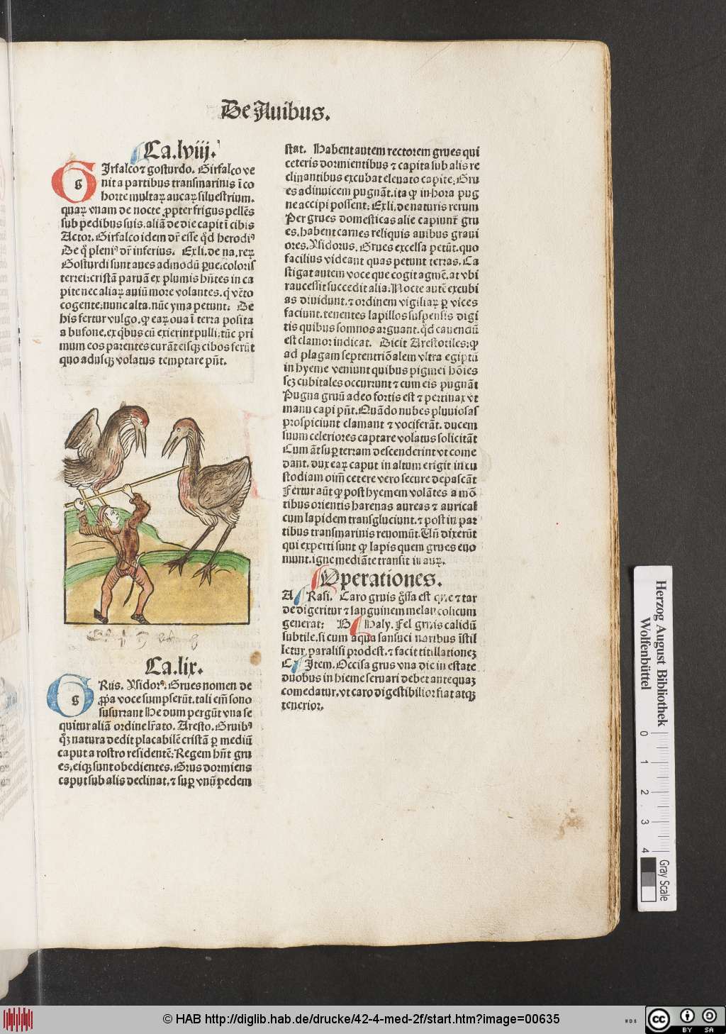 http://diglib.hab.de/drucke/42-4-med-2f/00635.jpg