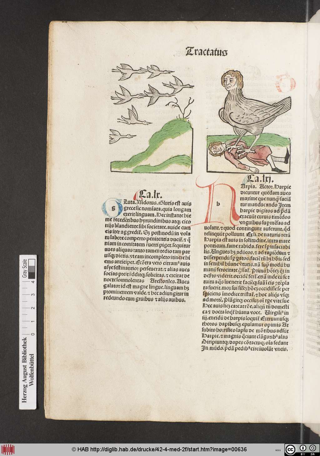 http://diglib.hab.de/drucke/42-4-med-2f/00636.jpg