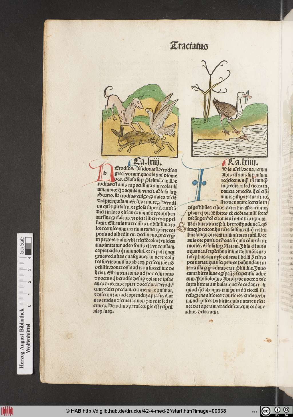 http://diglib.hab.de/drucke/42-4-med-2f/00638.jpg