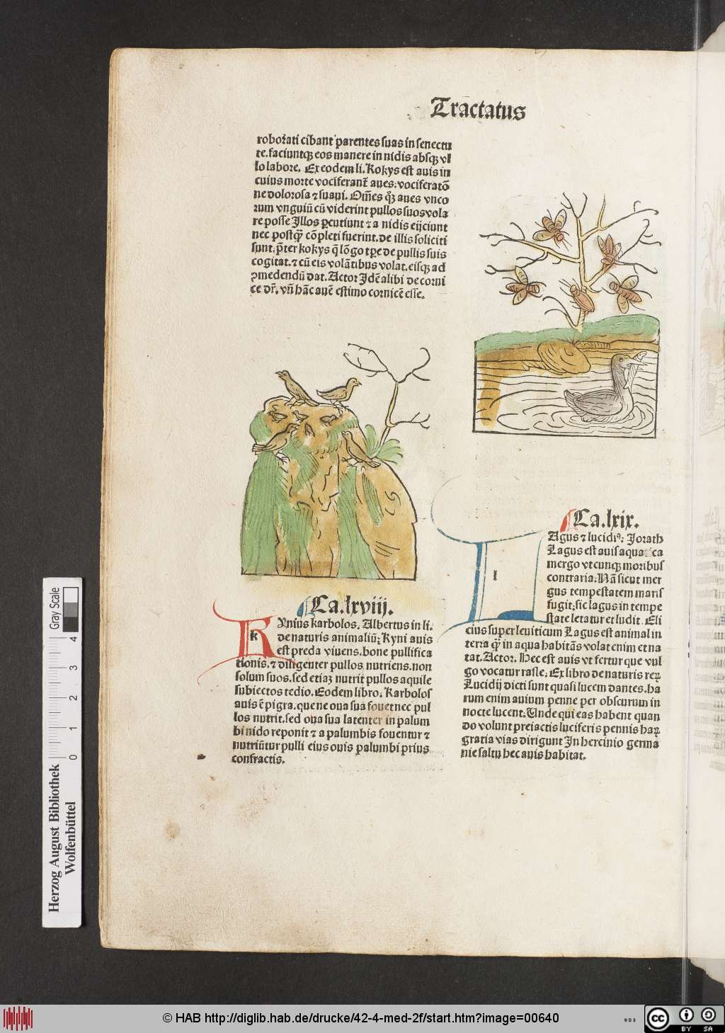 http://diglib.hab.de/drucke/42-4-med-2f/00640.jpg