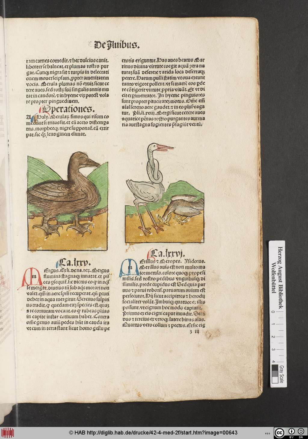 http://diglib.hab.de/drucke/42-4-med-2f/00643.jpg